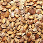 Cheraunji Dried Nut