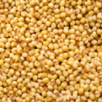 Foxtail Millet