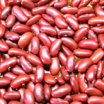 Kidney Beans